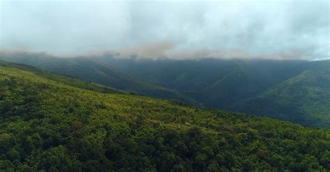 denr region 3|Over 122K hectares of denuded forestlands restored .